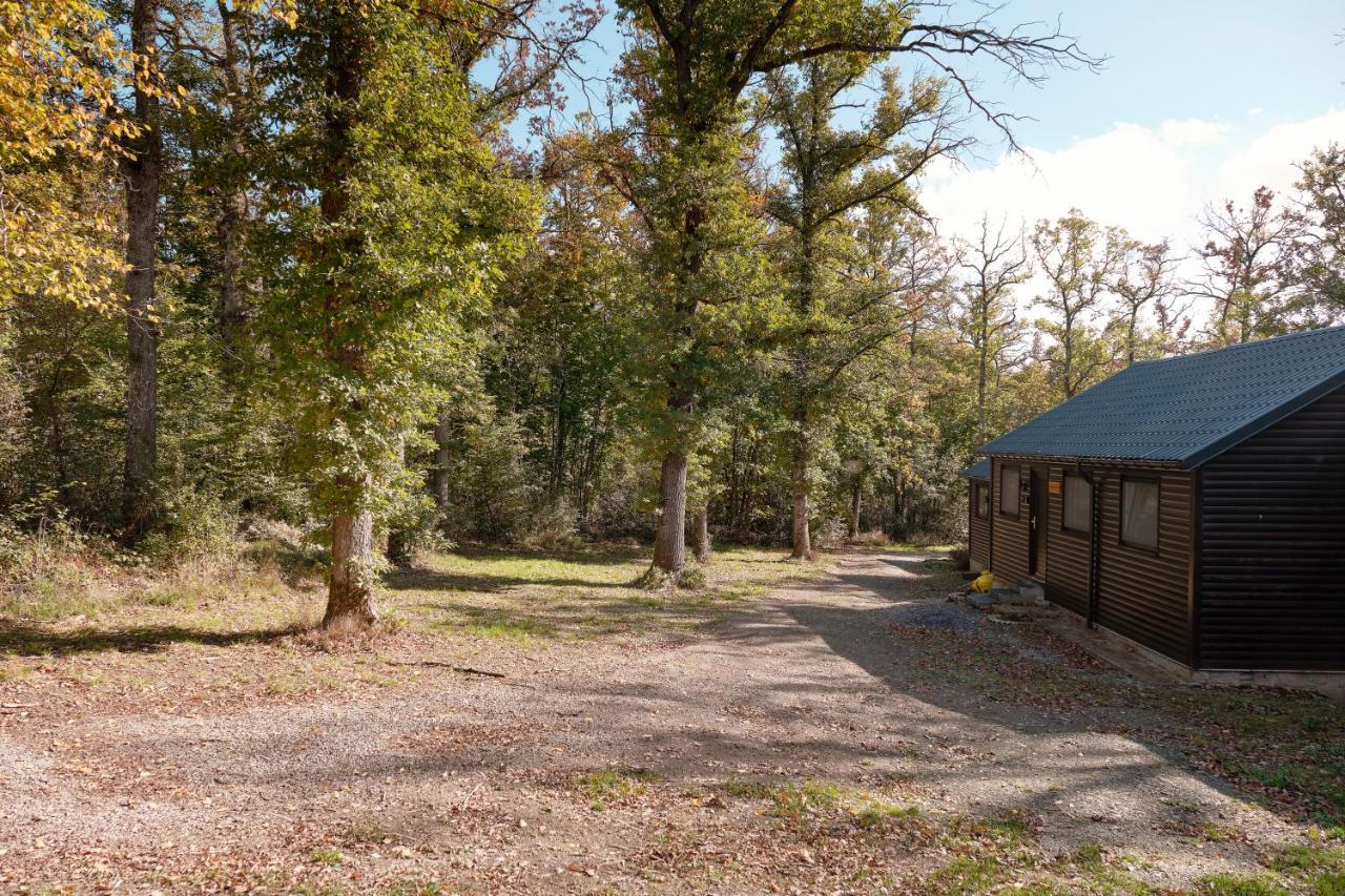 Chalet D'Un Ami Somme-Leuze Exterior photo